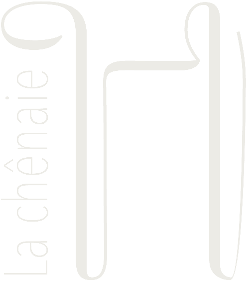 Logo Haitz Teya